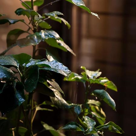 Kanazawa Machiya Kenroku ภายนอก รูปภาพ